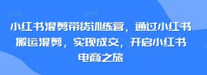 小红书混剪带货训练营，通过小红书搬运混剪，实现成交，开启小红书电商之旅-虚拟资源库
