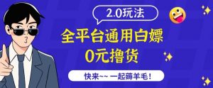 外面收费2980的全平台通用白嫖撸货项目2.0玩法【仅揭秘】-虚拟资源库