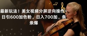 最新玩法！美女视频分屏逆向操作~日引600加色粉，日入700加，条条爆【揭秘】-虚拟资源库