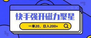 信息差赚钱项目,快手强开磁力聚星,一单20,日入200+【揭秘】-虚拟资源库