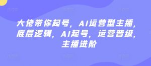 大佬带你起号，AI运营型主播，底层逻辑，AI起号，运营晋级，主播进阶-虚拟资源库