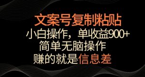 文案号掘金，简单复制粘贴，小白操作，单作品收益900+【揭秘】-虚拟资源库