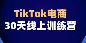 TikTok电商带货30天线上课,不可错过的全球流量洼地!-虚拟资源库