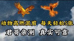 动物超燃混剪，每天轻松5张，剪辑简单大家爱看【揭秘】-虚拟资源库