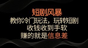 短剧风暴,教你冷门玩法,玩转短剧,收钱收到手软【揭秘】-虚拟资源库