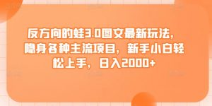反方向的蛙3.0图文最新玩法,隐身各种主流项目,新手小白轻松上手,日入2000+【揭秘】-虚拟资源库