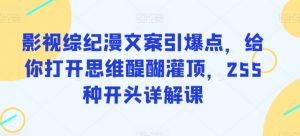影视综纪漫文案引爆点,给你打开思维醍醐灌顶,255种开头详解课-虚拟资源库