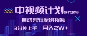 中视频计划暴力起号，自动剪辑原创视频，3分钟上手，月入2W+【揭秘】-虚拟资源库