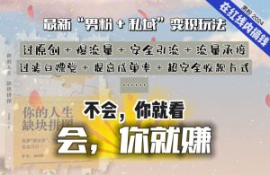 2024，“男粉+私域”还是最耐造、最赚、最轻松、最愉快的变现方式【揭秘】-虚拟资源库