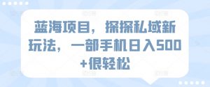 蓝海项目，探探私域新玩法，一部手机日入500+很轻松【揭秘】-虚拟资源库