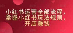 小红书运营全部流程,掌握小红书玩法规则,开店赚钱-虚拟资源库