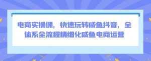 电商实操课，快速玩转咸鱼抖音，全体系全流程精细化咸鱼电商运营-虚拟资源库
