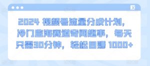 2024视频号流量分成计划，冷门监海赛道奇闻趣事，每天只需30分钟，轻松目赚 1000+【揭秘】-虚拟资源库