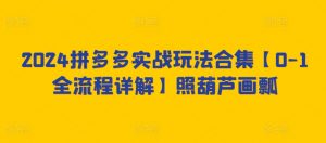 2024拼多多实战玩法合集【0-1全流程详解】照葫芦画瓢-虚拟资源库