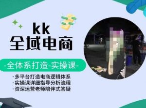 KK全域电商,全体系打造实操课,多平台打造电商逻辑体系-虚拟资源库