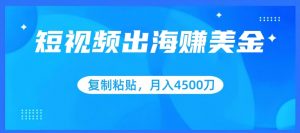 短视频出海赚美金,复制粘贴批量操作,小白轻松掌握,月入4500美刀【揭秘】-虚拟资源库