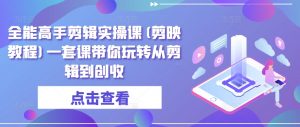 全能高手剪辑实操课(剪映教程)一套课带你玩转从剪辑到创收-虚拟资源库
