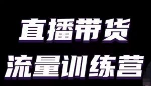 直播带货流量训练营，小白主播必学直播课-虚拟资源库