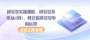 拼多多实操课程，拼多多系统从0到1，教会你拼多多电商运营-虚拟资源库