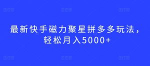最新快手磁力聚星拼多多玩法，轻松月入5000+【揭秘】-虚拟资源库