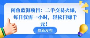 闲鱼蓝海项目:二手交易火爆,每日仅需一小时,轻松日赚千元【揭秘】-虚拟资源库