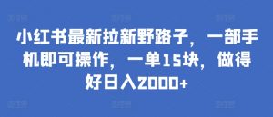 小红书最新拉新野路子,一部手机即可操作,一单15块,做得好日入2000+【揭秘】-虚拟资源库