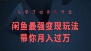 从零开始走向专业，闲鱼最强变现玩法带你月入过万-虚拟资源库