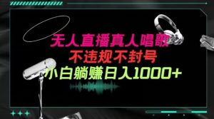 抖音24小时无人直播音乐，不违规，不封号纯撸音浪，小白实操当天日入1000+【揭秘】-虚拟资源库