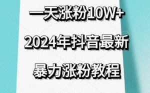 抖音最新暴力涨粉教程,视频去重,一天涨粉10w+,效果太暴力了,刷新你们的认知【揭秘】-虚拟资源库