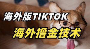 抖音海外版tiktok撸金技术，这个风口行业，赚钱真的不难【揭秘】-虚拟资源库