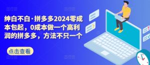 拼多多2024零成本包起，0成本做一个高利润的拼多多，方法不只一个-虚拟资源库