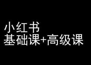 小红书基础课+高级课-小红书运营教程-虚拟资源库