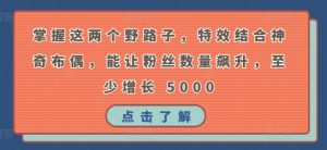 掌握这两个野路子，特效结合神奇布偶，能让粉丝数量飙升，至少增长 5000【揭秘】-虚拟资源库