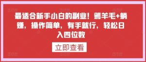 最适合新手小白的副业！薅羊毛+躺赚，操作简单，有手就行，轻松日入四位数【揭秘】-虚拟资源库