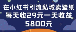 在小红书引流私域卖壁纸每张29元单日最高卖出200张(0-1搭建教程)【揭秘】-虚拟资源库