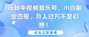 玩转中视频音乐号,小白副业变现,月入过万不是幻想【揭秘】-虚拟资源库