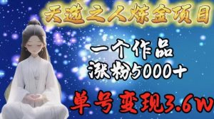 天选之人炼金项目，一个作品涨粉5000+，单号变现3.6w【揭秘】-虚拟资源库