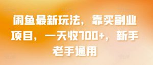 闲鱼最新玩法，靠买副业项目，一天收700+，新手老手通用【揭秘】-虚拟资源库