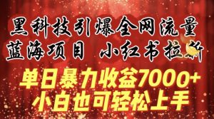 蓝海项目!黑科技引爆全网流量小红书拉新,单日暴力收益7000+,小白也能轻松上手【揭秘】-虚拟资源库
