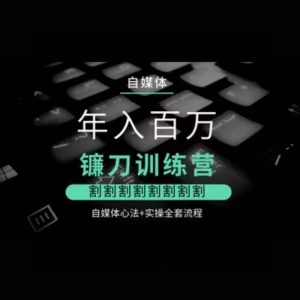 自媒体年入百万镰刀训练营,割割割割割割割割,自媒体心法+实操全套流程-虚拟资源库