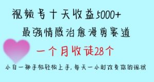 十天收益5000+,多平台捞金,视频号情感治愈漫剪,一个月收徒28个,小白一部手机轻松上手【揭秘】-虚拟资源库