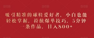 吸引精准的球鞋爱好者,小白也能轻松掌握,持续爆单技巧,5分钟一条作品,日入800+【揭秘】-虚拟资源库