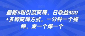 最新S粉引流变现，日收益300+多种变现方式，一分钟一个视频，发一个爆一个【揭秘】-虚拟资源库