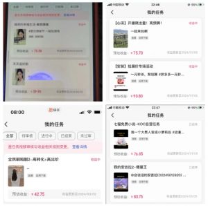 2024年3月最新，快手磁力聚星全流程实操教学，8台手机日均收益稳定100~200元【揭秘】-虚拟资源库