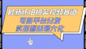 最新怀旧搞笑视频赛道，可多平台分发，实现利益最大化【揭秘】-虚拟资源库