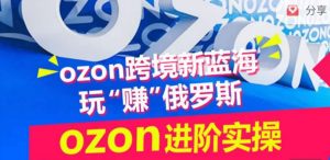 ozon跨境新蓝海玩“赚”俄罗斯,ozon进阶实操训练营-虚拟资源库