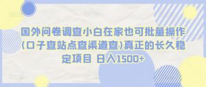 国外问卷调查小白在家也可批量操作(口子查站点查渠道查)真正的长久稳定项目 日入1500+【揭秘】-虚拟资源库