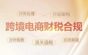 跨境老板财税合规特训营，规避财税风险、提升企业利润-虚拟资源库
