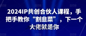 2024IP共创合伙人课程，手把手教你“割韭菜”，下一个大佬就是你-虚拟资源库