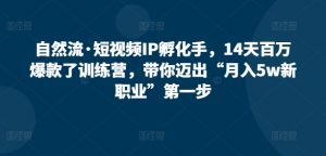 自然流·短视频IP孵化手，14天百万爆款了训练营，带你迈出“月入5w新职业”第一步-虚拟资源库